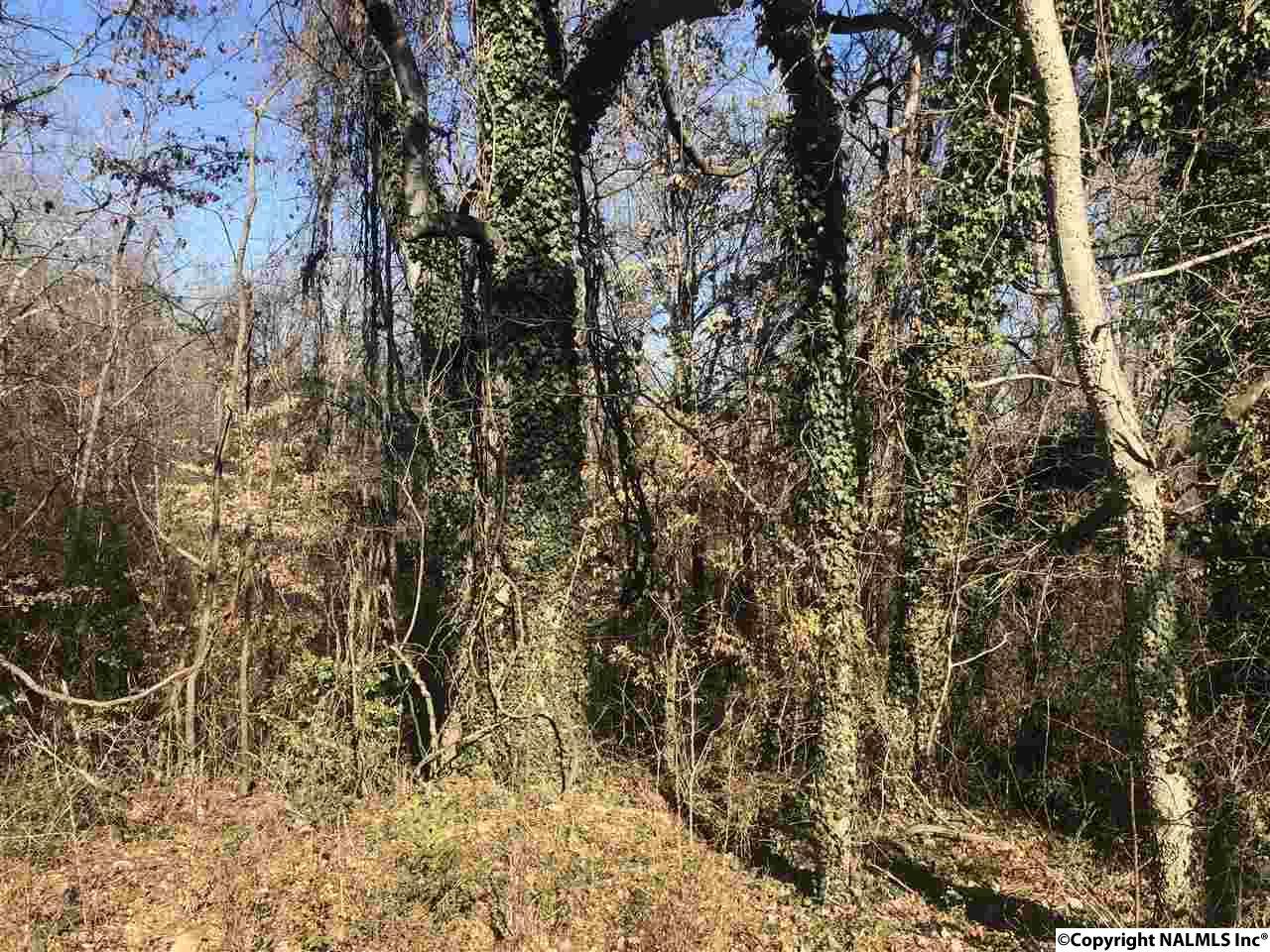 0 Deerman Street - Photo 1