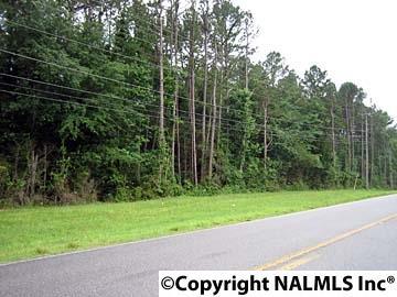 4121 Us Hwy 11 - Photo 1