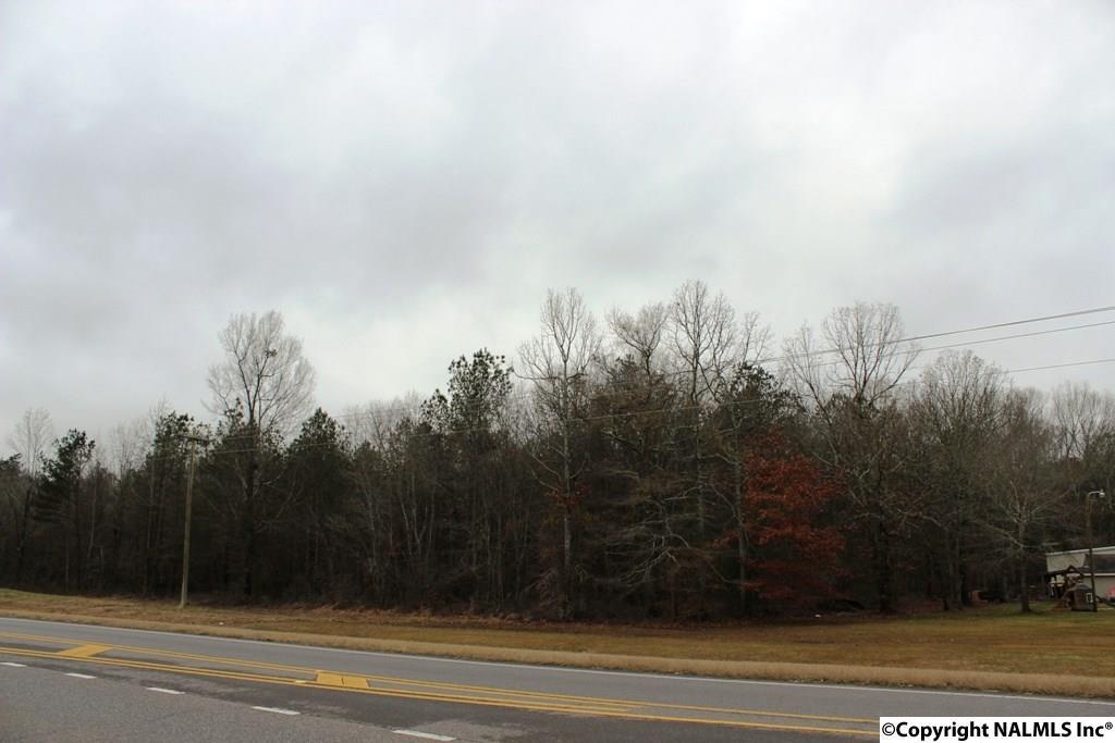 NA Chesnut Bypass - Photo 1