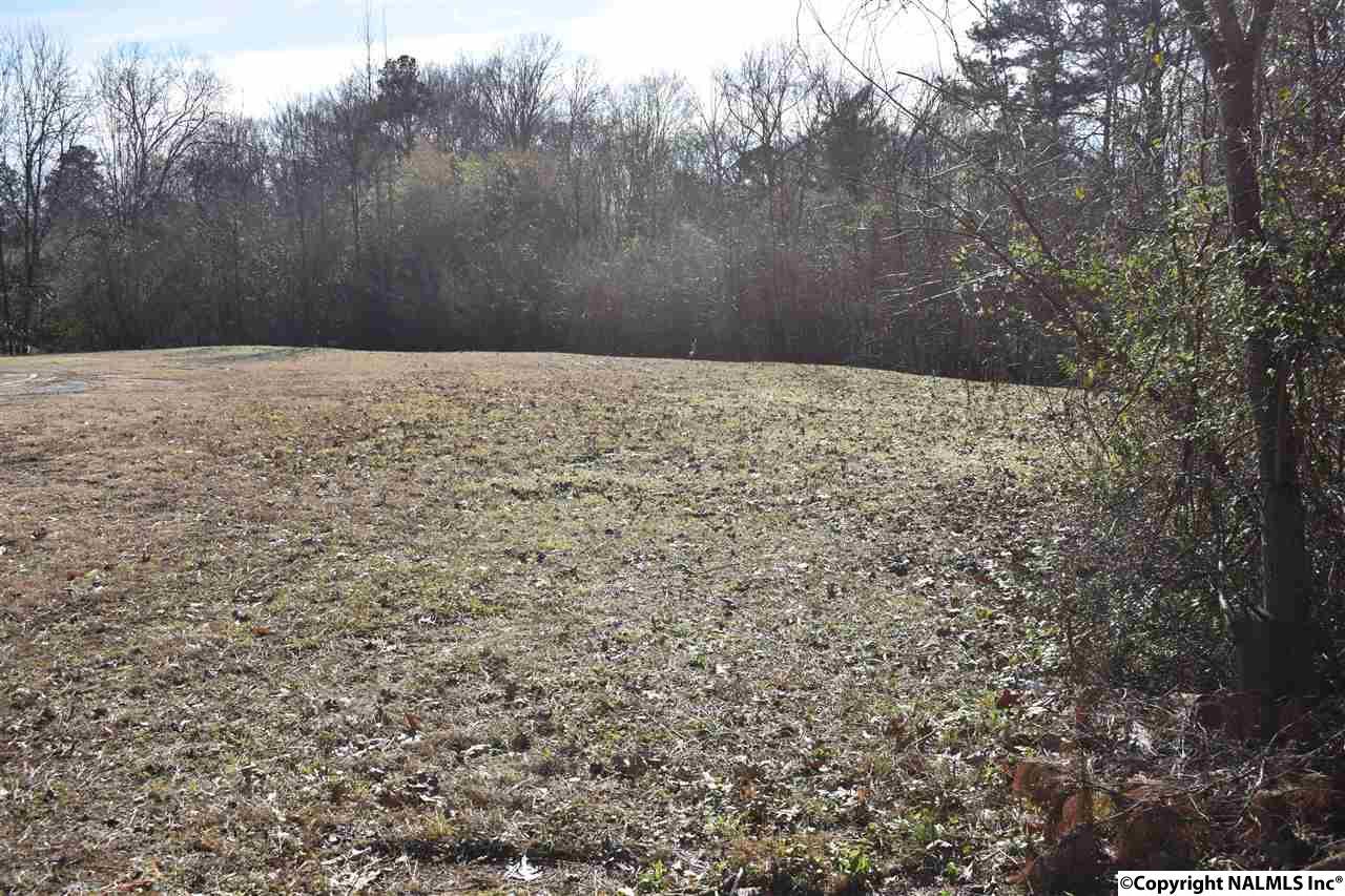 00000 Tuscaloosa Avenue - Photo 1