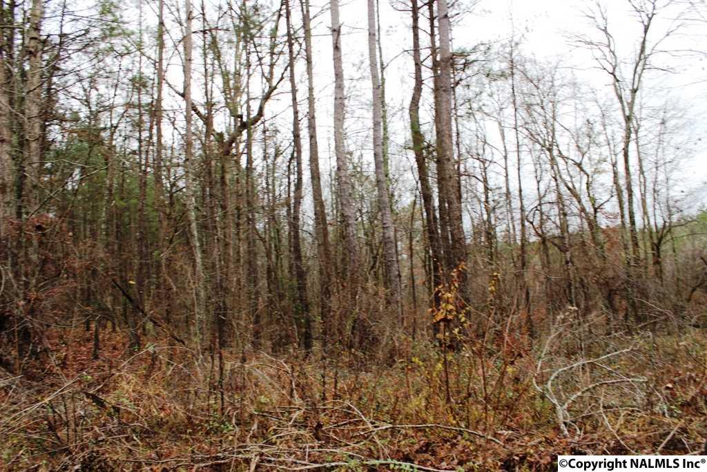 lot 4 Quail Drive - Photo 1