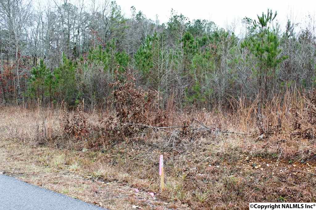 Lot 6 Quail Drive - Photo 1