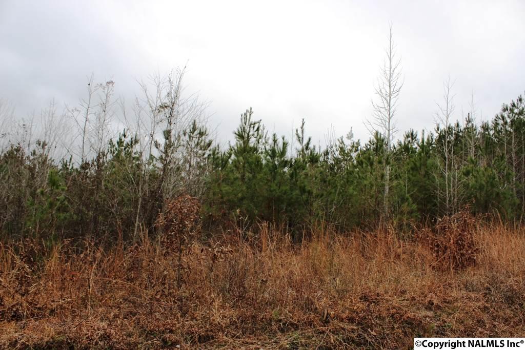 Lot 12 Quail Drive - Photo 1