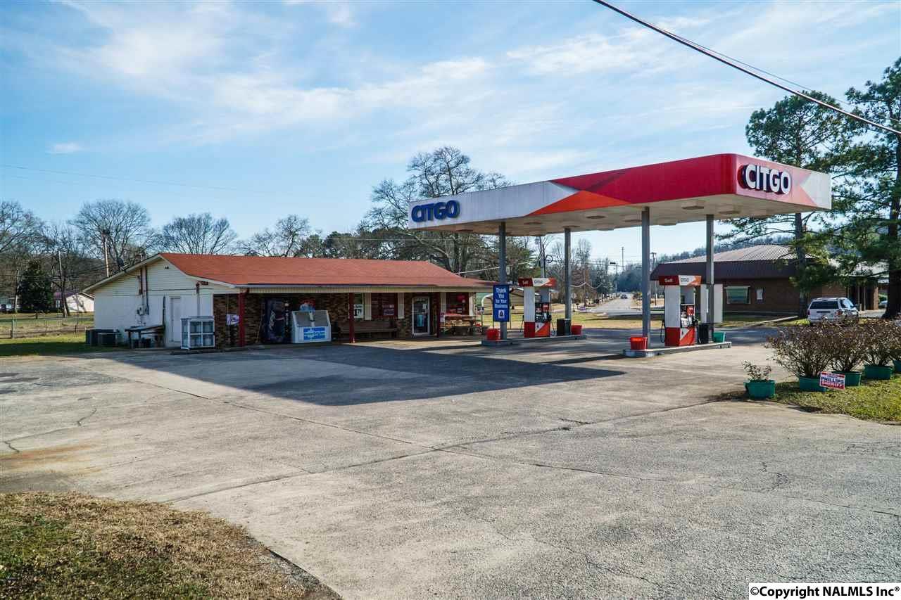 298893 Alabama Highway 35 - Photo 1