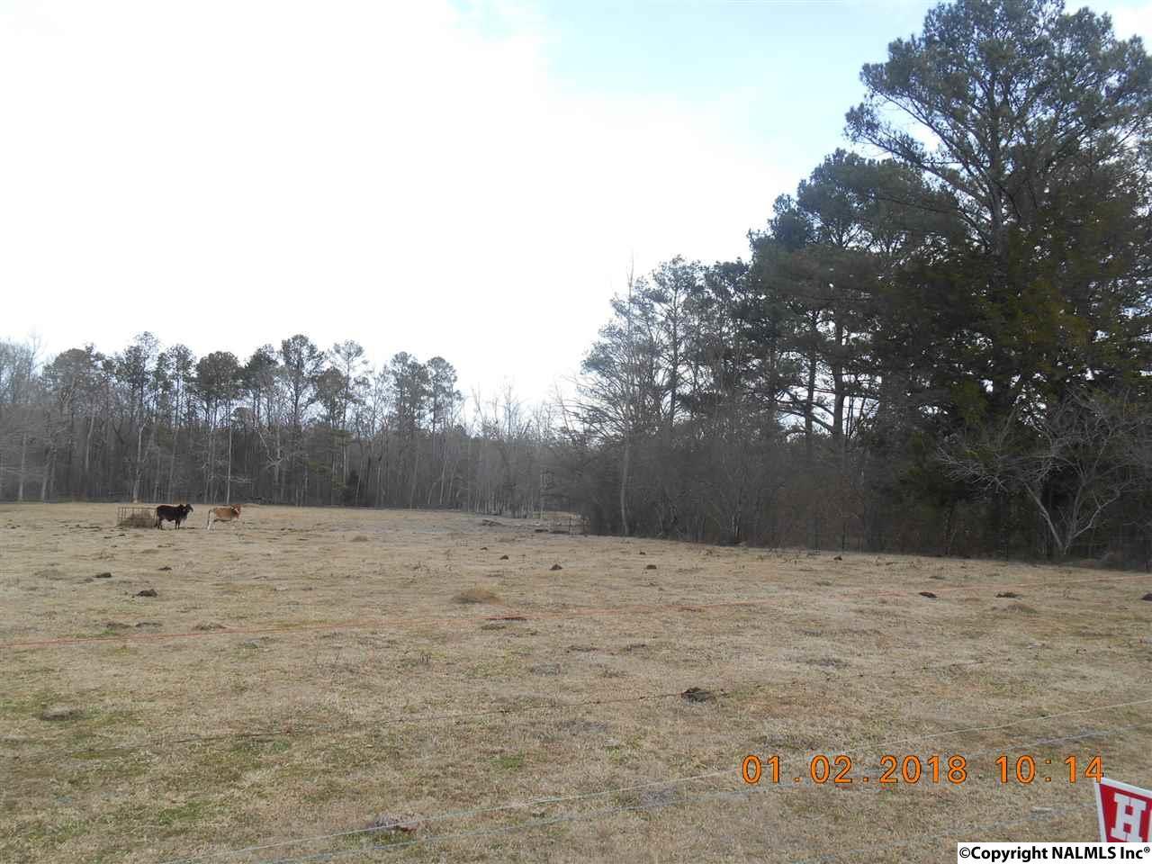 0 Highway 278 - Photo 1