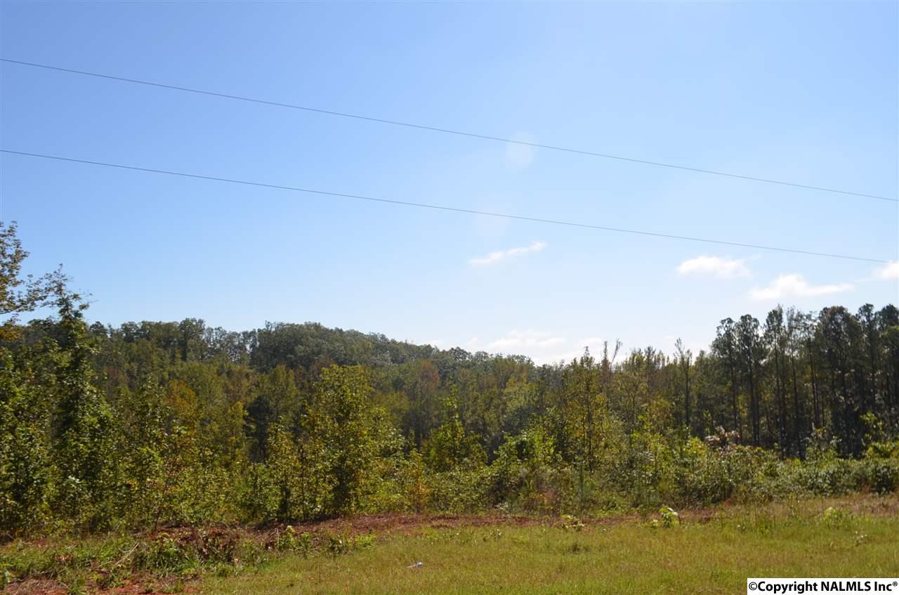 Scenic Highway - Photo 1