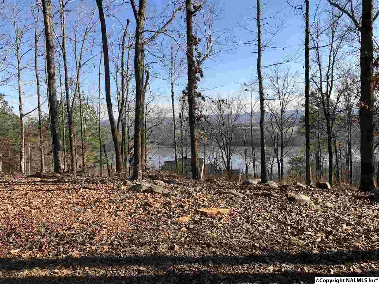 Lot 6 South Ridge Road - Photo 1