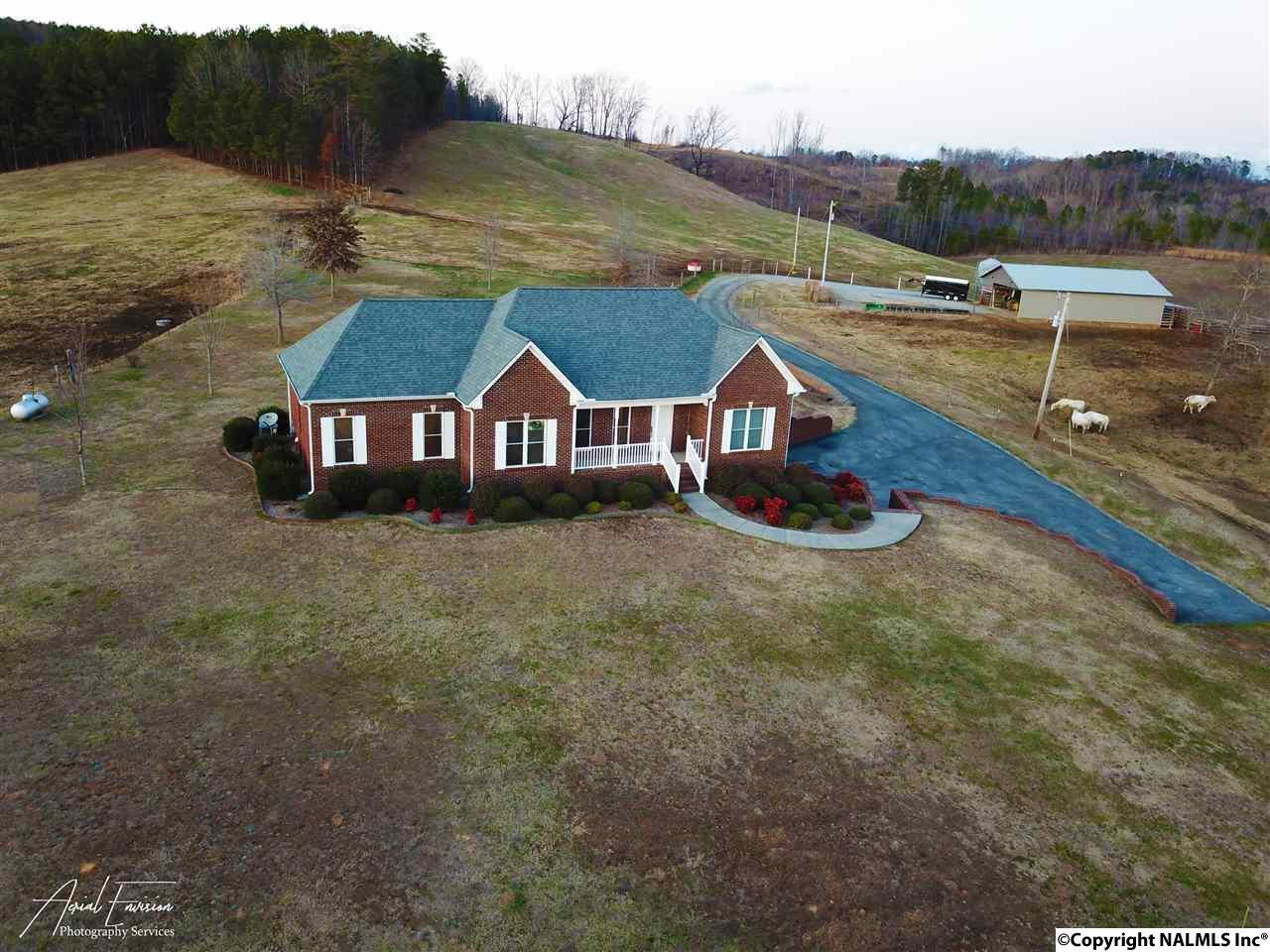 5556 County Road 436 - Photo 1