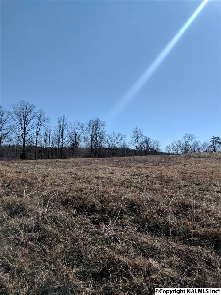 165 County Road 895 - Photo 1
