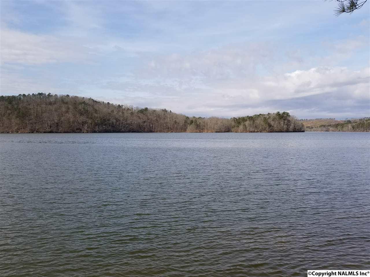 0 Mohawk Cliff Road - Photo 1