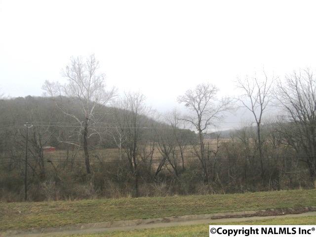 Spunky Hollow Road - Photo 1