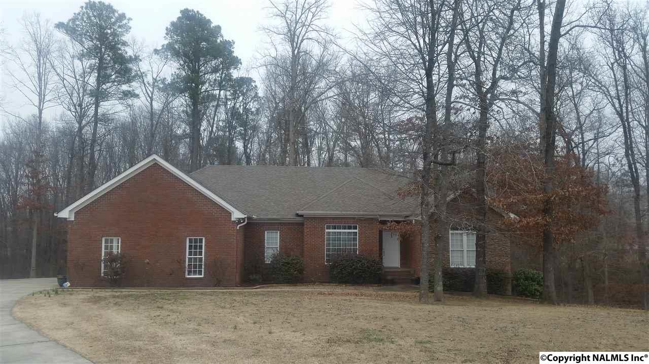 222 Briar Lane - Photo 1