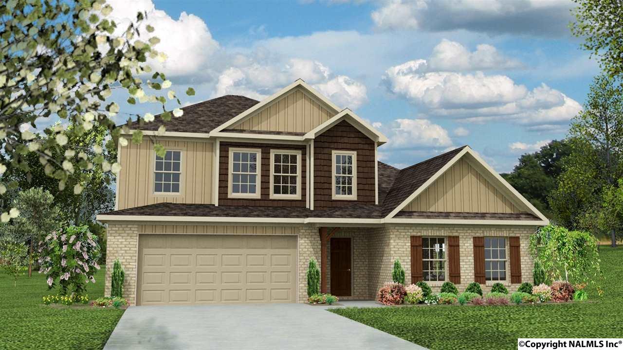 217 Maggie Mance Lane - Photo 1