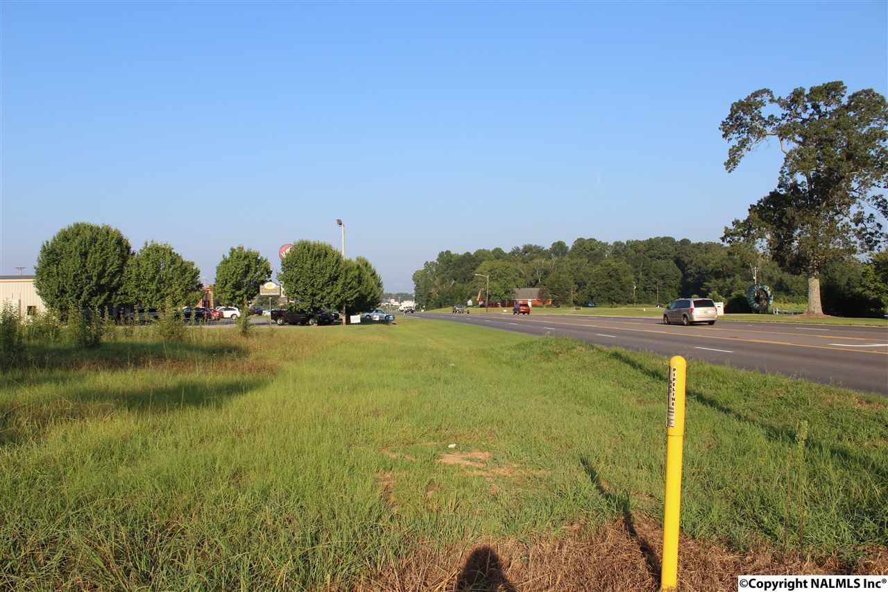 20 Chesnut Bypass - Photo 1