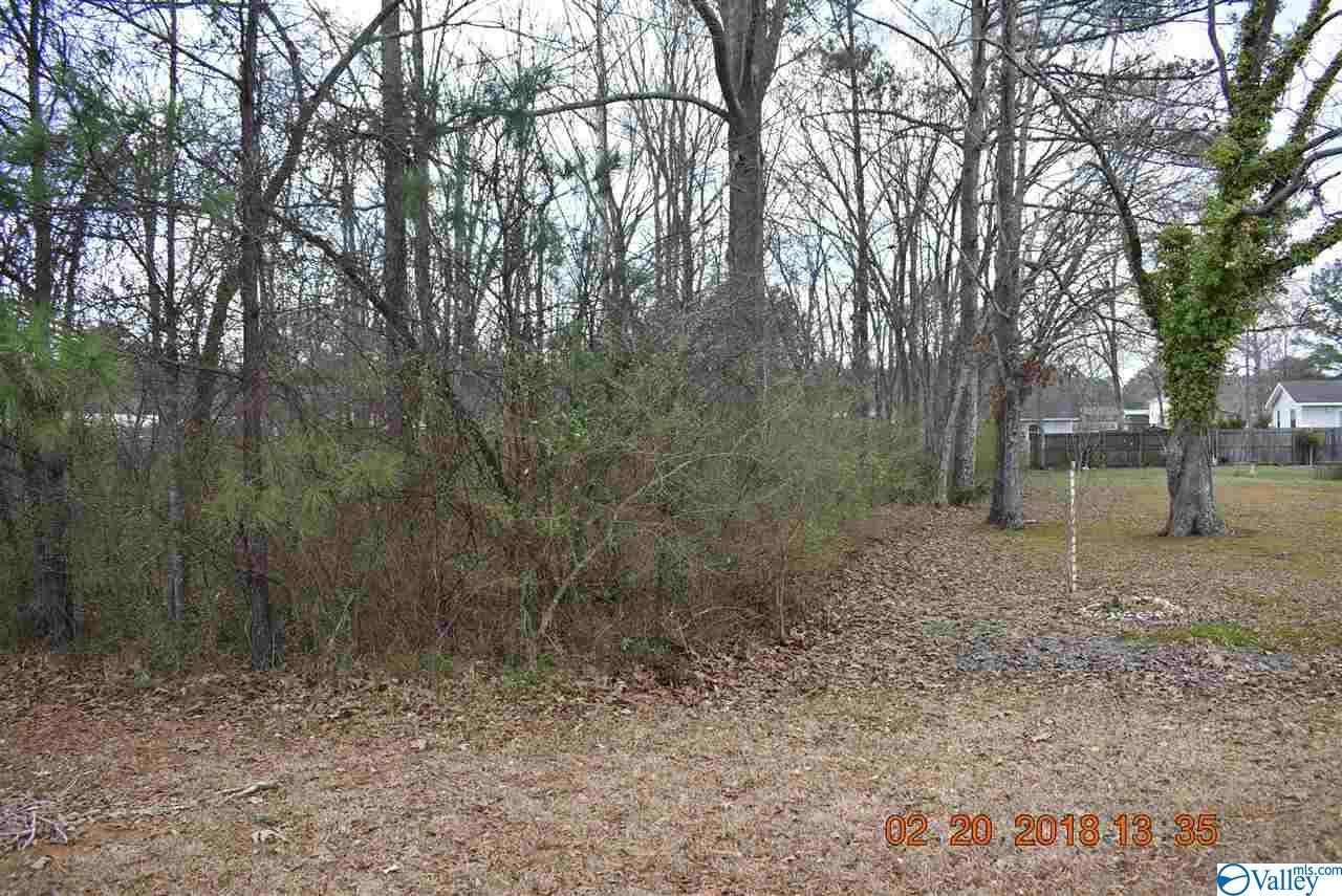 0 Burke Avenue - Photo 1