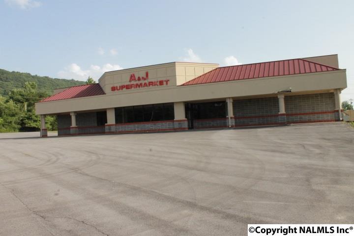 8403 Alabama Highway 117 - Photo 1