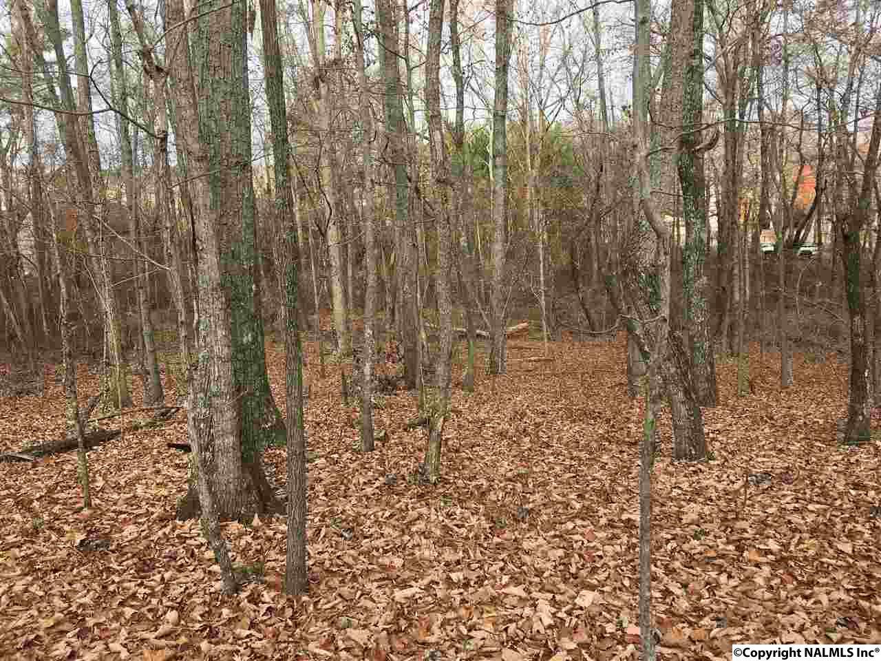 25 Daisy Lane - Photo 1