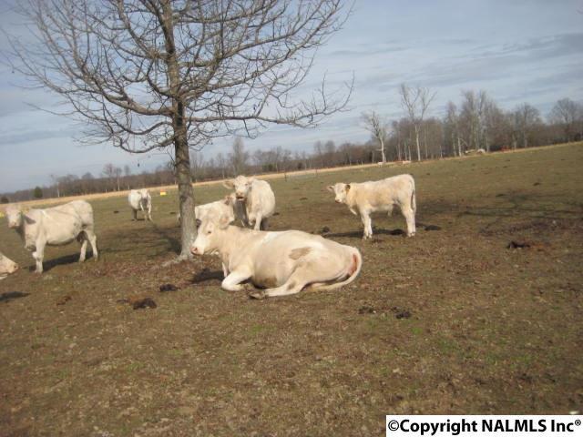 00 Old Railroad Bed Road - Photo 1