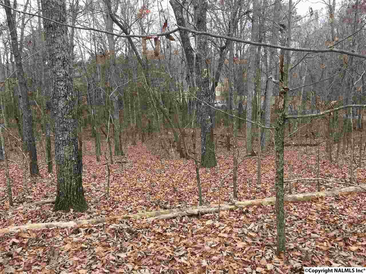 24 Daisy Lane - Photo 1
