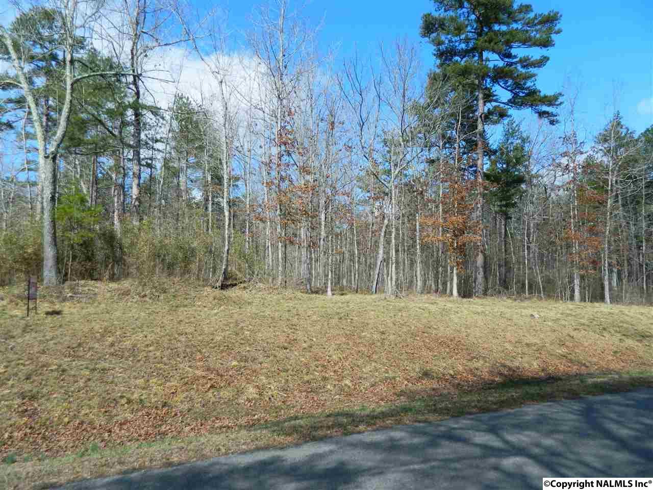 000 County Road 106 - Photo 1