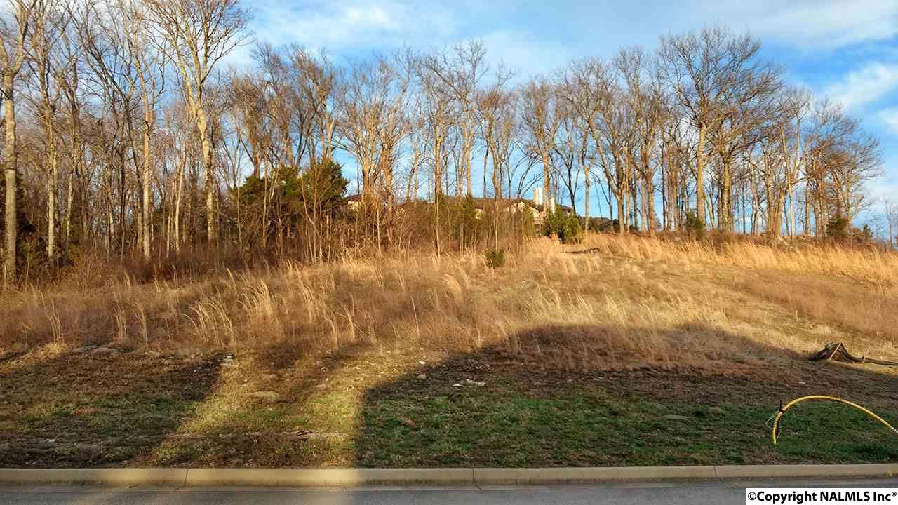 2806 Talon Circle - Photo 1