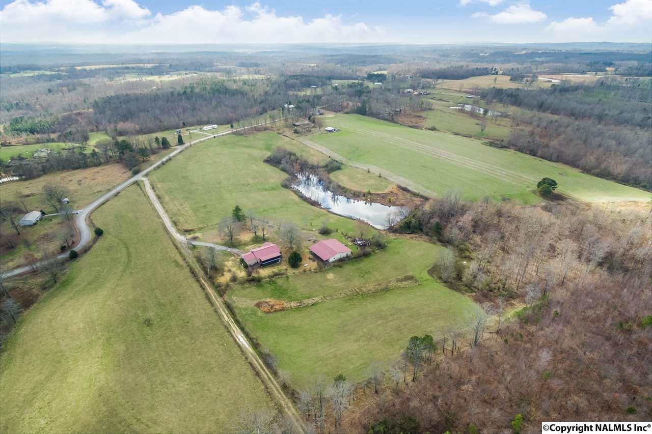 669 County Road 97 - Photo 1