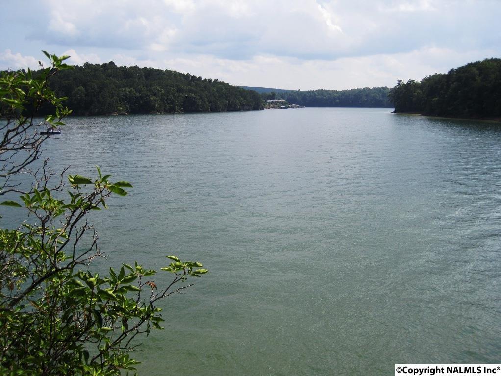 10 Eagle Circle - Photo 1