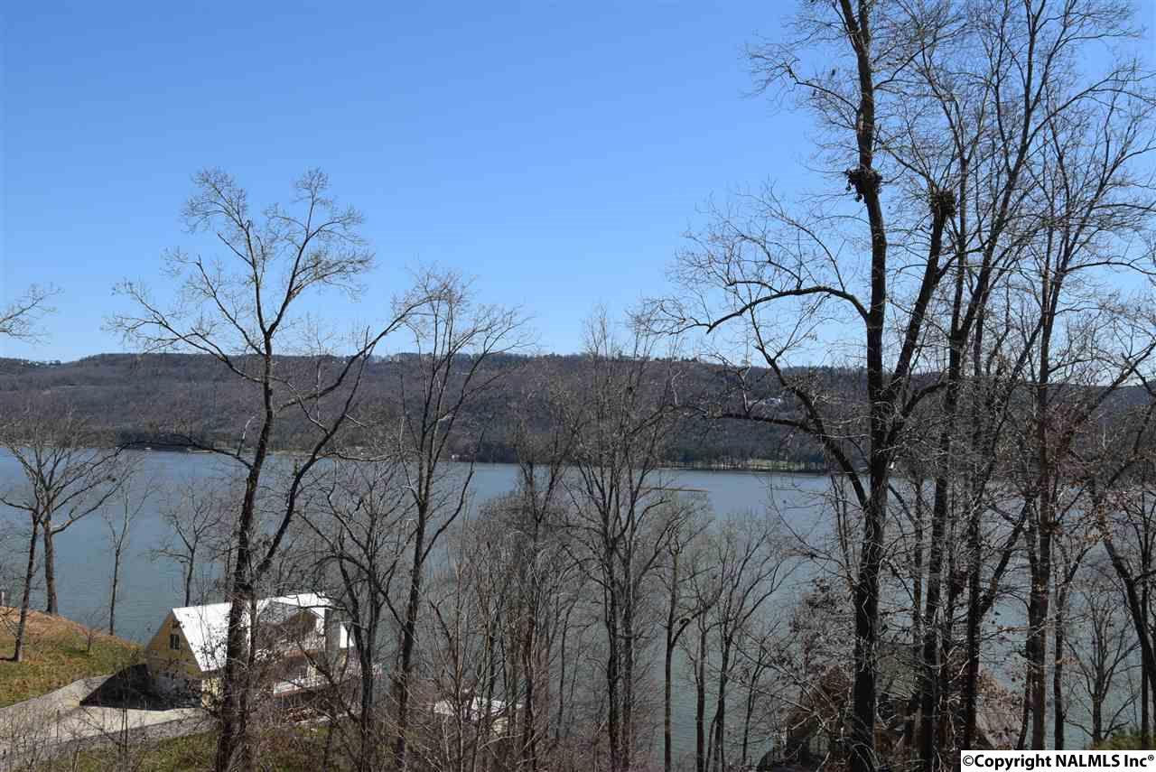 73 Monte Sano Drive - Photo 1