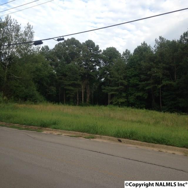 0 Willow Bend Road - Photo 1