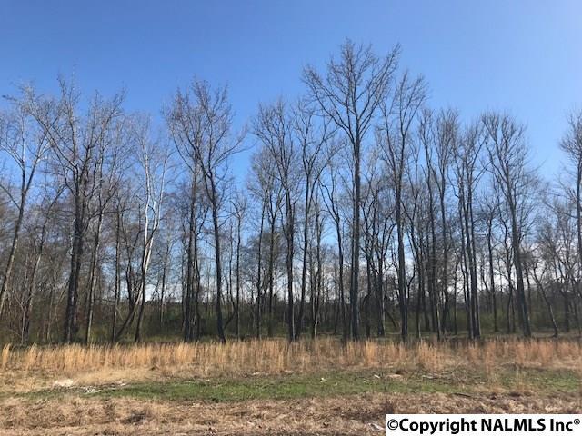 Lot B Dupree Drive - Photo 1
