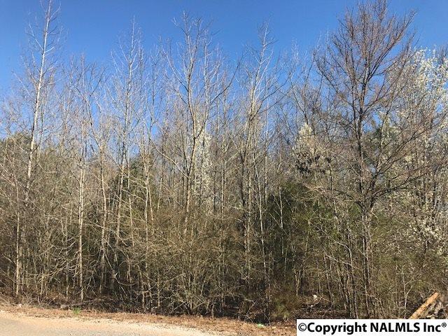 Lot C Dupree Drive - Photo 1