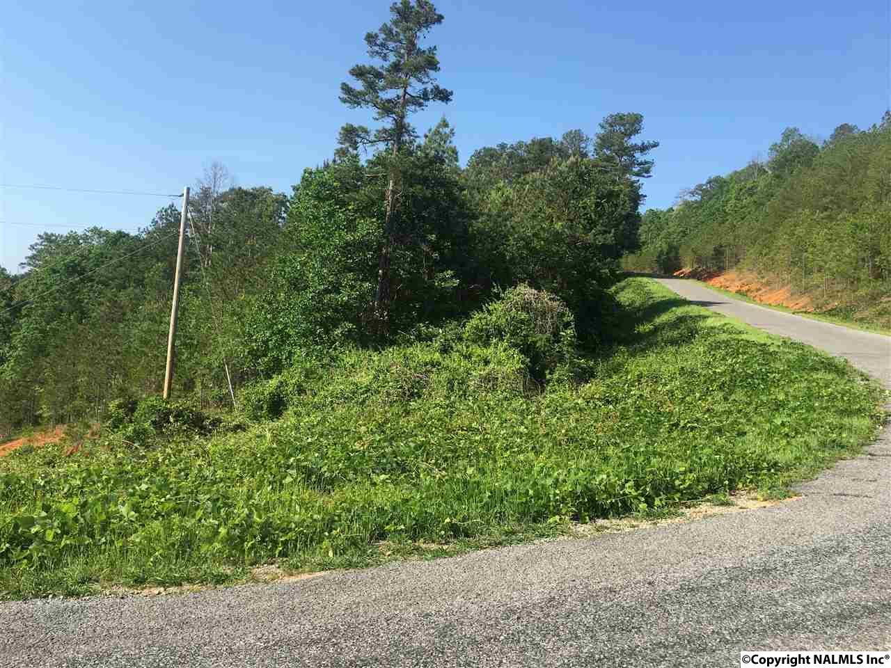 0 County Road 368 - Photo 1