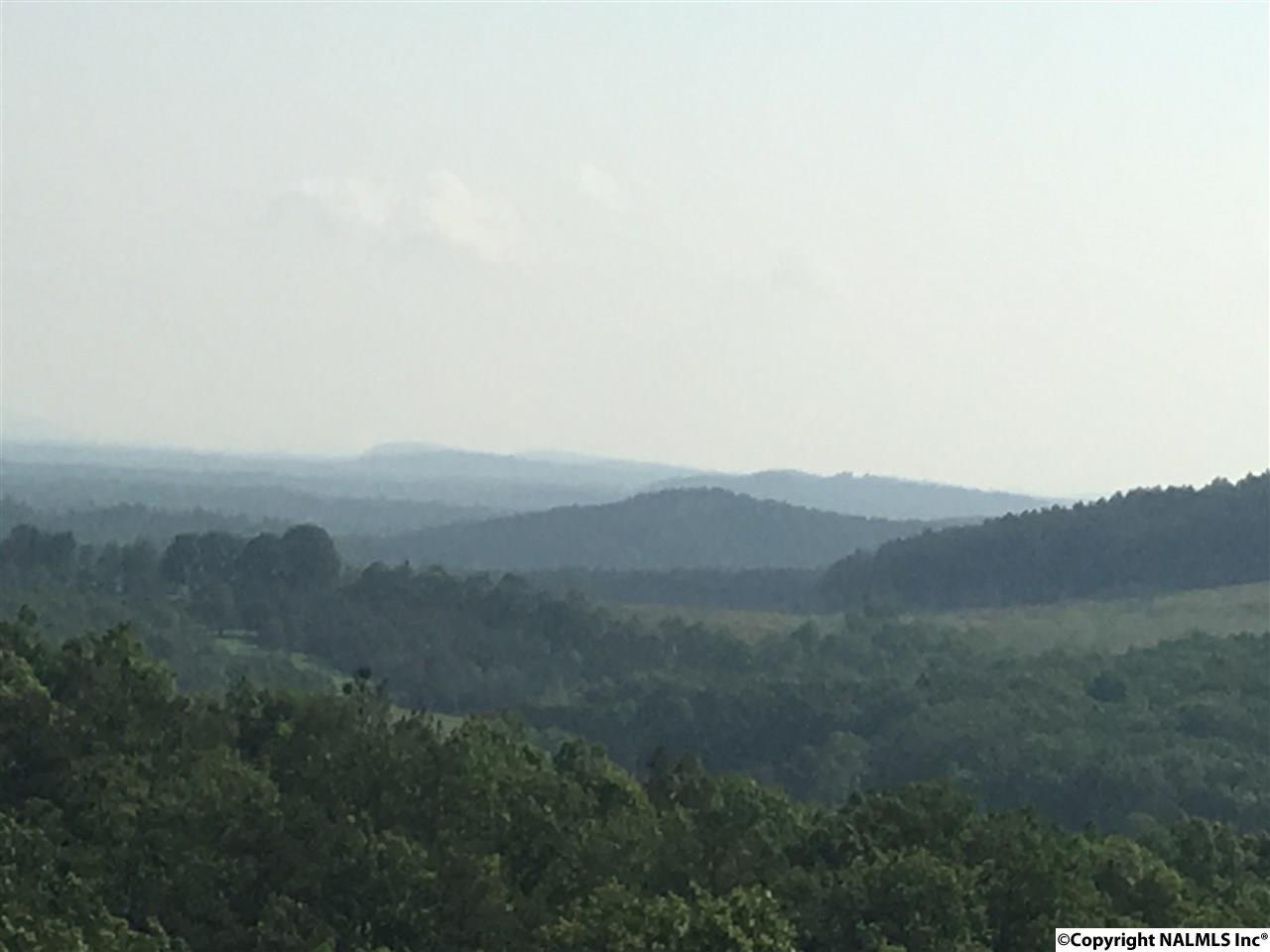 0 County Road 368 - Photo 1