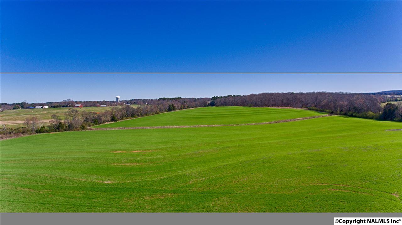 747 Carroll Road - Photo 1