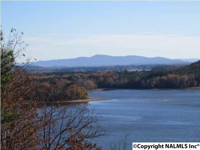 1 Yellow Creek Road - Photo 1