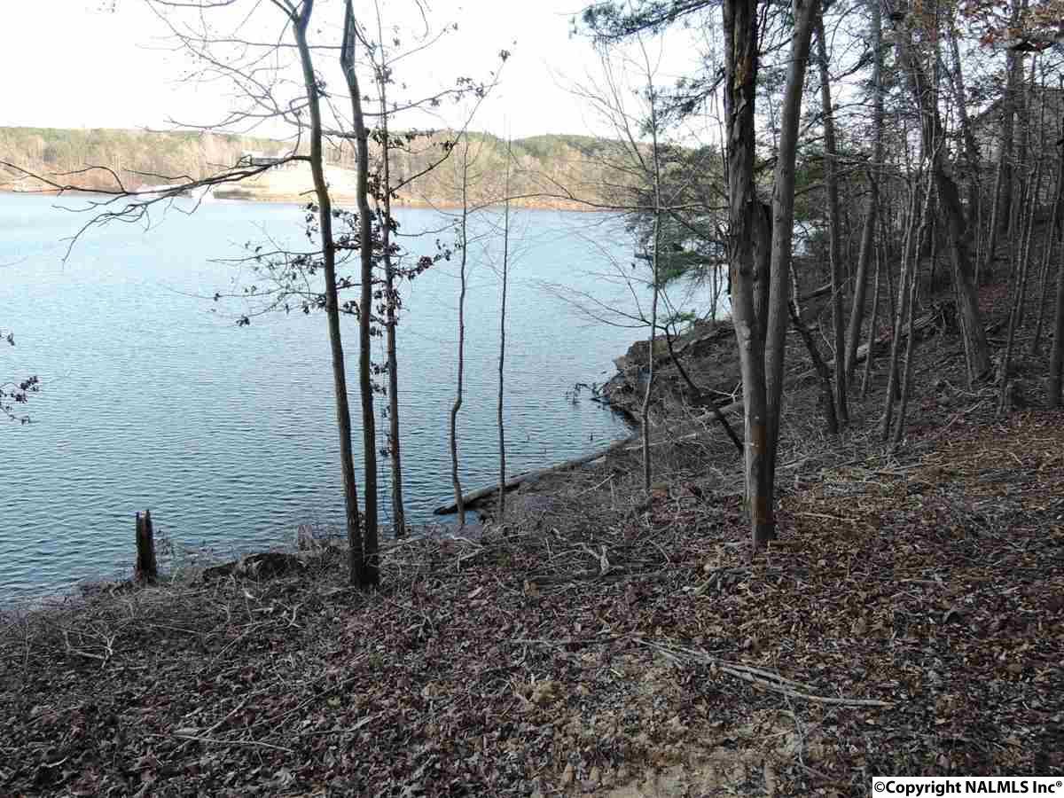 565 County Road 2021 - Photo 1
