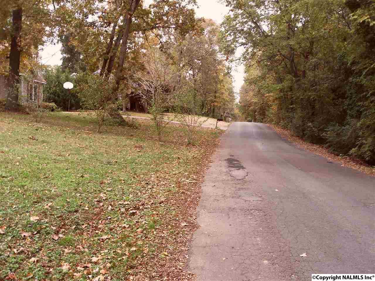 Thunderbird Street - Photo 1
