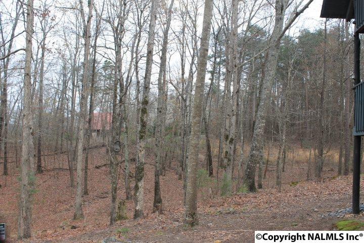 Lot 27 Road 911 - Photo 1
