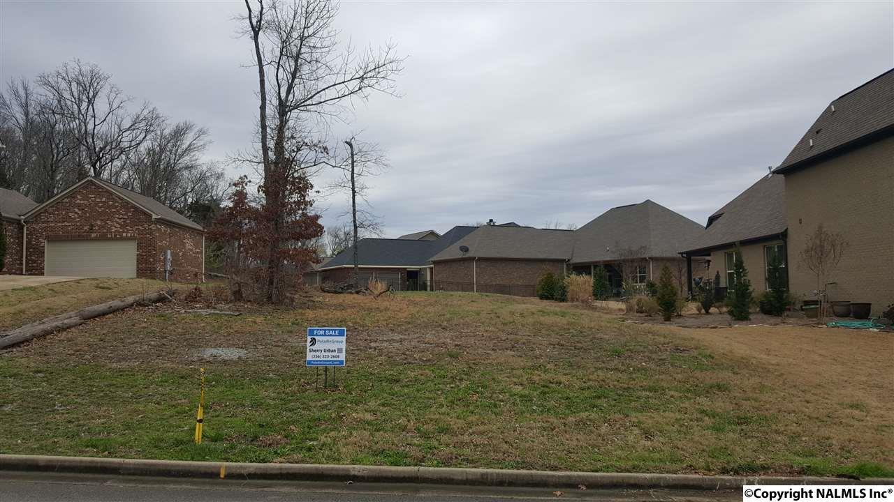 3977 Hawks Way - Photo 1