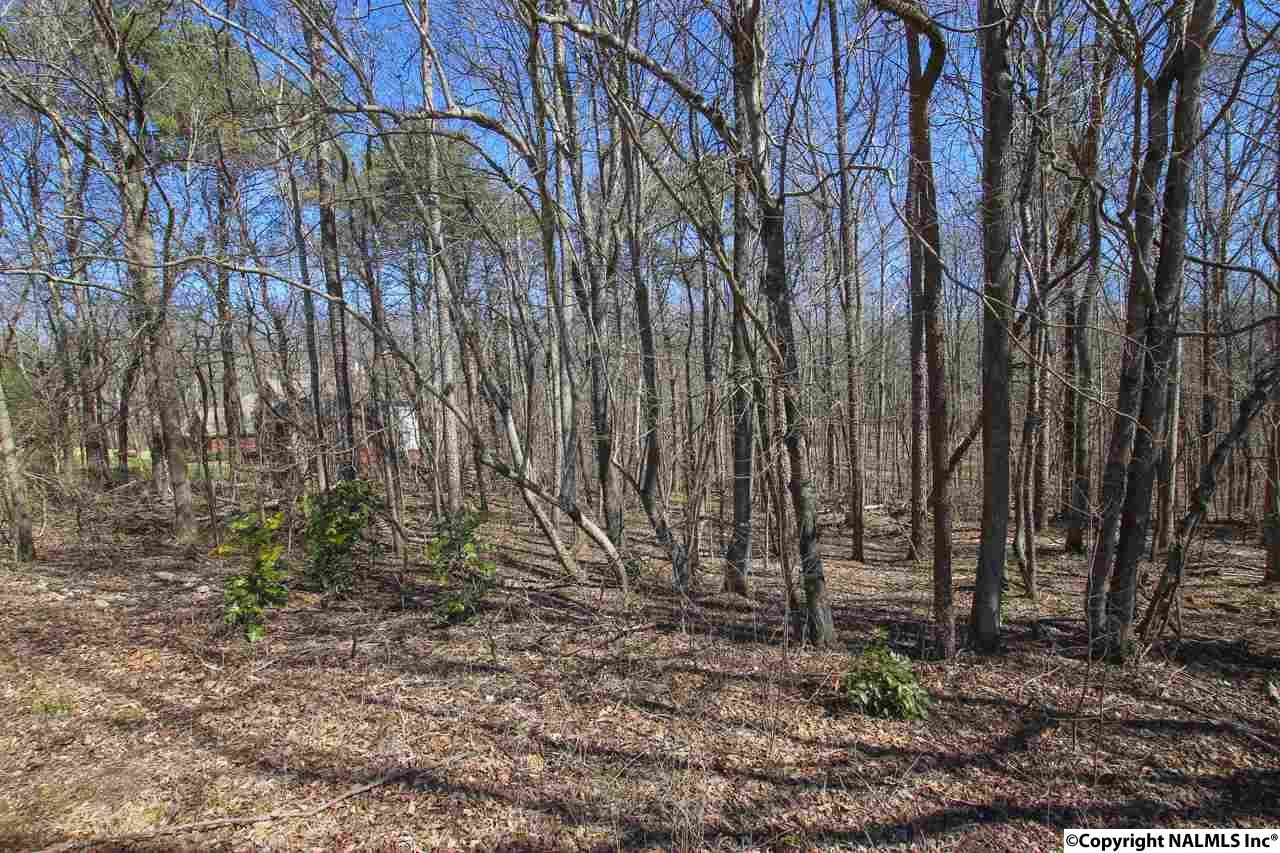 13559 Monte Vedra Road - Photo 1