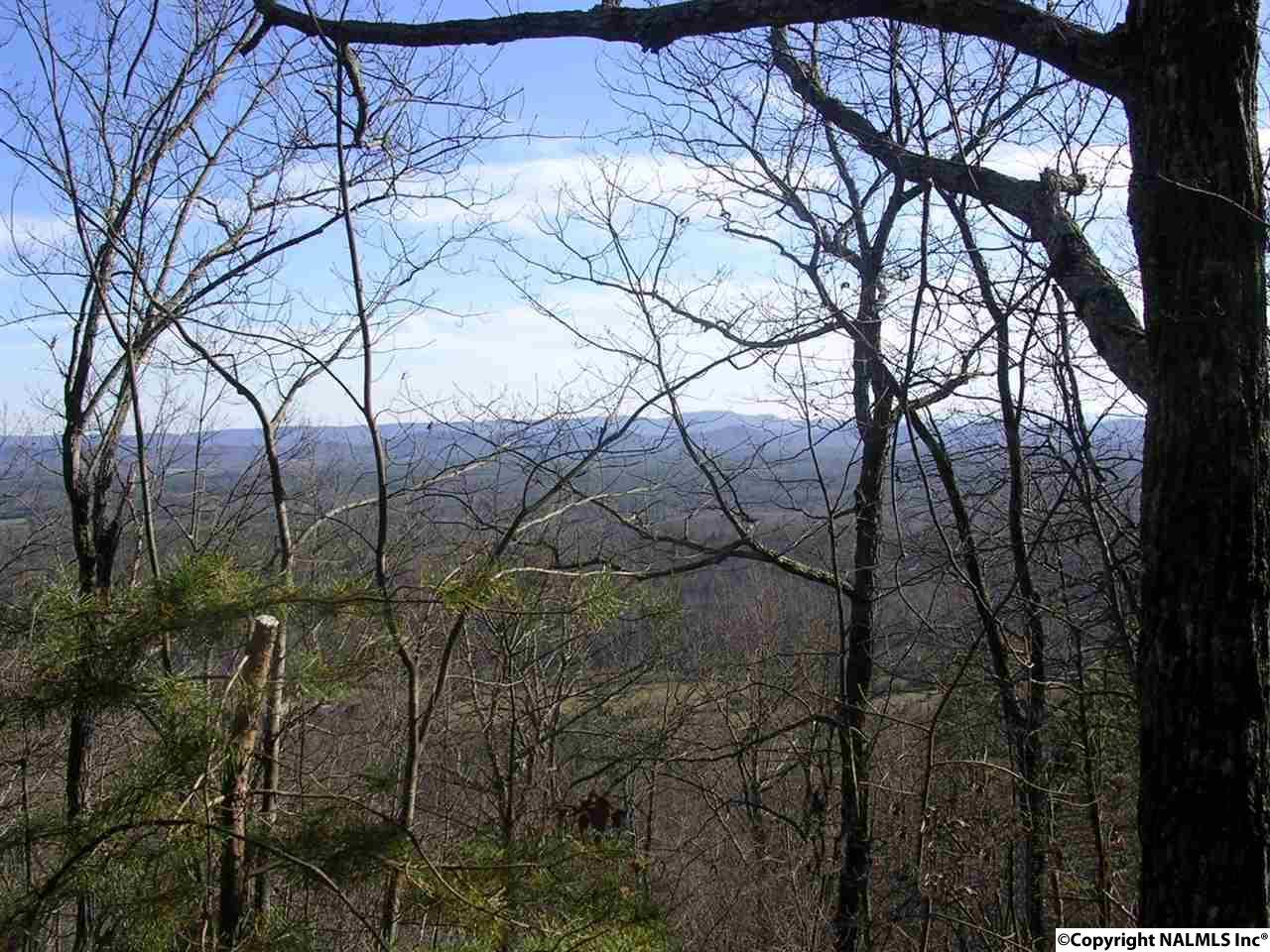 65 County Road 103 - Photo 1