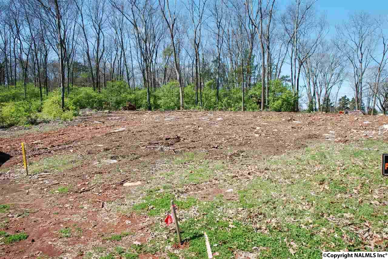 2008 Cliffmanor Circle - Photo 1