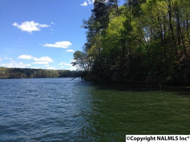 County Road 3933 - Photo 1