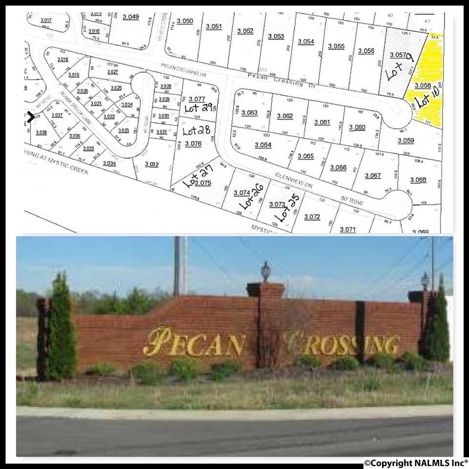 LOT 10 Pecan Crossing Drive - Photo 1