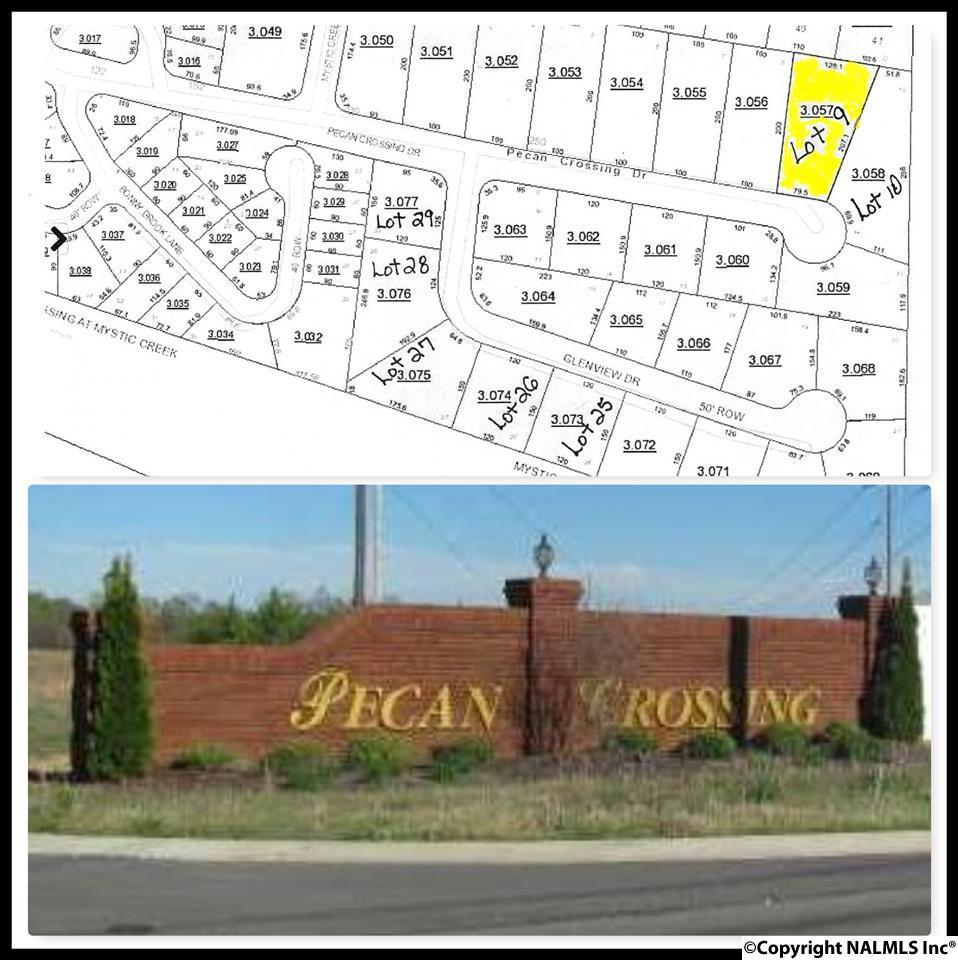 LOT 9 Pecan Crossing Drive - Photo 1
