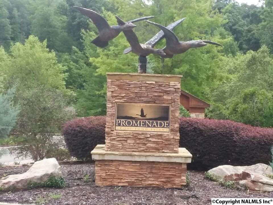 00 Lookout Mountain Drive - Photo 1