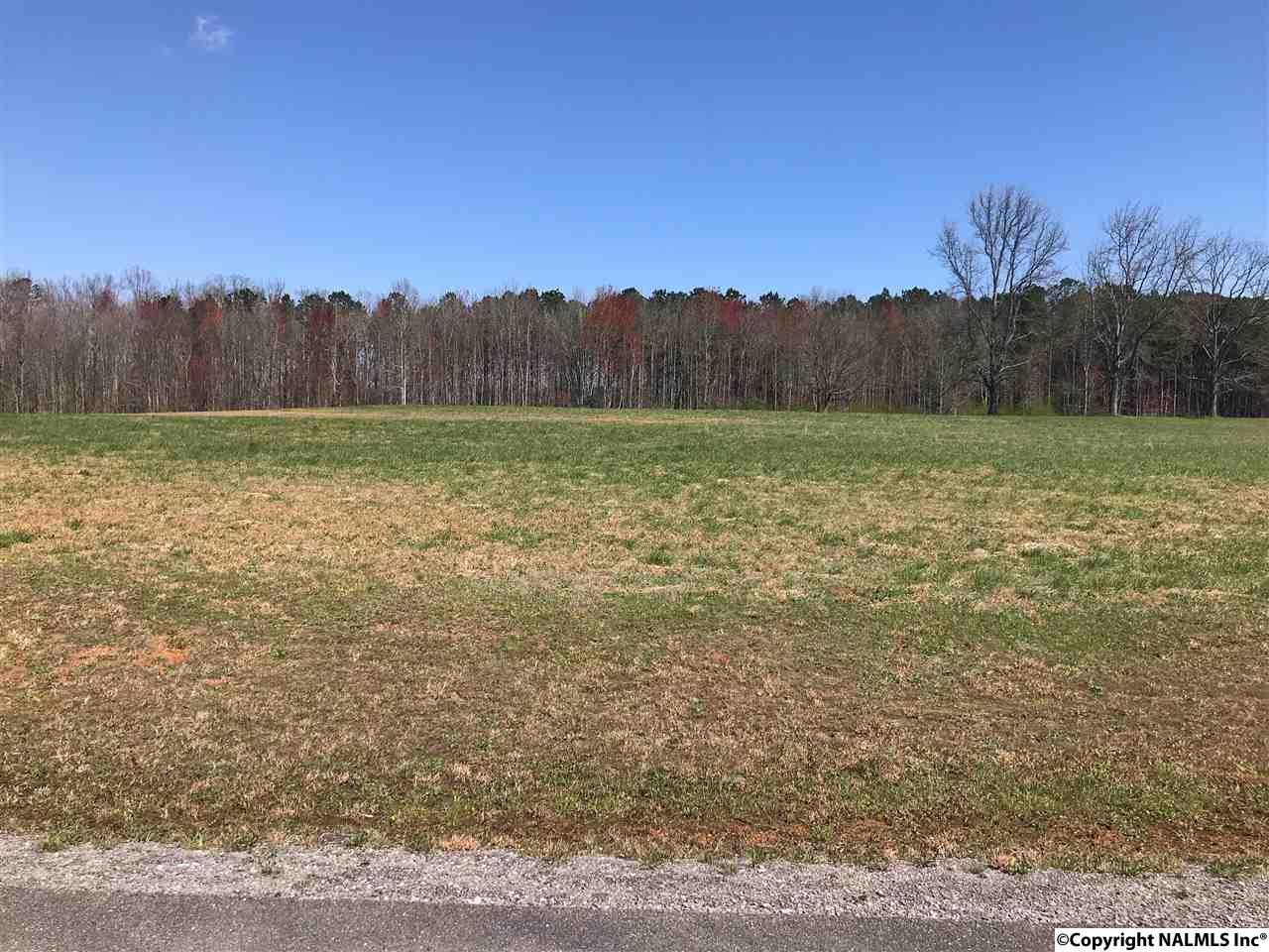 322 Worthington Lane - Photo 1
