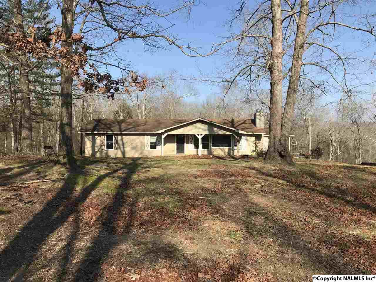 919 County Road 1442 - Photo 1