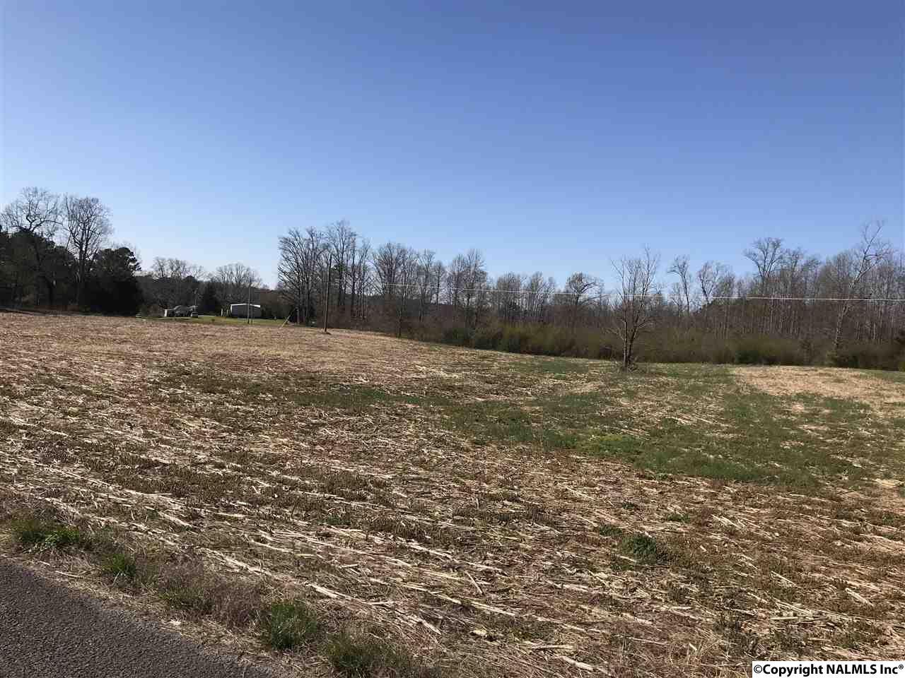 0 County Road 1447 - Photo 1