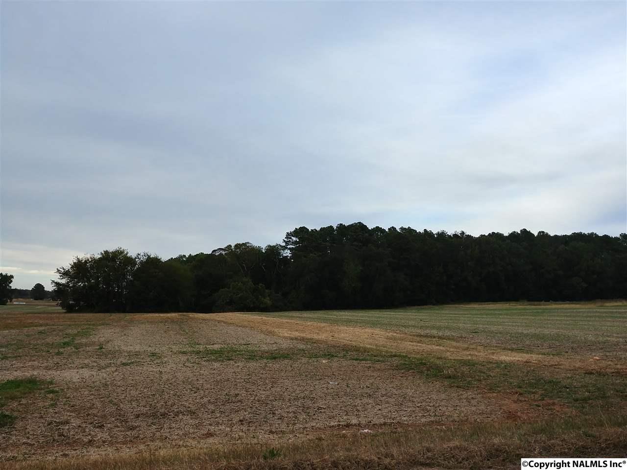 14 Weaver Road - Photo 1